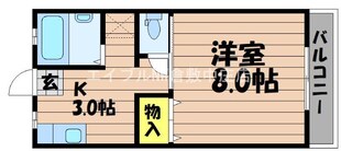 カレッジスクエア松島の物件間取画像